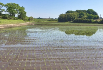 山田農園の田園風景