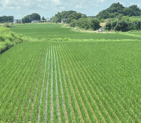 山田農園の田園風景