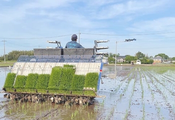 山田農園の田園風景